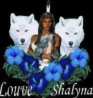 Shalyna Logo